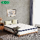  Soft Cheap Foam Pocket Spring Mattress High Density Best Factory Hot Sell China Wholesale Full Size Mattress in a Box Bed Mattress