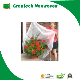  Fruit Cover Banana Grape Bag Applied on Agriculture Non Woven
