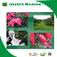  Agriculture Fruit Bag Plant Cover Nonwoven Fabric