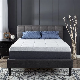  High Quality Mattress Bed Breathable-Elastic-Spring-Mattress Spring Mattress for Hotel