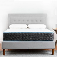  Double Pocket Spring Latex Mattress Factory Price