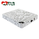 Top Sale Spring Mattress Bedroom Furniture Mattresses