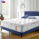  Aussie HCl Medium Firm Pillow Euro Top Bread Micro Coil Bed Latex Memory Foam Pocket Spring Mattress
