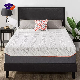  Aussie HCl Wholesale American Full Inch Cooling Gel Memory Foam Colchon Latex Pocket Spring Mattress