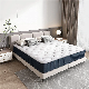  The Best Factory Aussie Roll Sleeping Well Colchon Twin Queen King Double Gel Memory Foam Spring Mattress