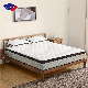  The Best Factory Aussie Twin Single King Full Size Mattresses Leland Koala Cool Gel Memory Foam Spring Mattress