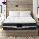  Sleeping Well Leland Koala Firm Twin Single King Full Size Spring Coil Latex Gel Memory Foam Mattress