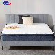  China Wholesale Price King Size Matelas Sleeping Well Full Inch Latex Memory Royal Foam Hotel Bed Mattress Topper in a Box Cotton Pocket Luxury Spring Mattress