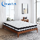  Wholesale Hot Sale Bedroom Customized Gel Memory Foam Pocket Spring Mattress (LZN1613)