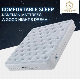 Natural Latex Mattress Compressed Bed Spring Mattress China Factroy Supply