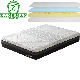 12 Inch King Mattress Latex Foam Memory Foam Mattress manufacturer