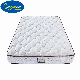  Foshan Factory Single Size Foam 7 Zone Pocket Spring Coils Mattress for Bedroom