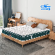  Betsy New Launch Mattress Pocket Spring Coil Memory Latex Foam Europe Top Full King Queen Size Wholesale Price Mattress in a Box Modern Design Appearance