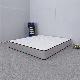 Besty Bed Mattress High Quality Pocket Spring Mattress in a Box