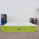  Best Compressed Queen Size Mattress with Bamboo Fabric and Pocket Spring
