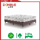 New Design Single Pillow Top Pocket Spring Mattress