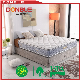  China Manufacturer Factory Price Top Design Furniture Comfortable Pocket Spring Mattress