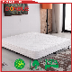  Hot Selling Box Spring Bed Base for Bedroom Furniture