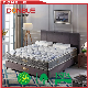  5 Star Hotel Standard Pocket Spring Mattress