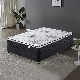  China Factory Organic Sweetdream Bonnel Foam Memory Roll up Queen King Size Fabric Latex Mattress Sale for Hotel Double Bed