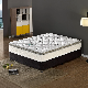 Good Quality High Rebound Soft Foam Mattress with Carbon Pocket Spring Mattress manufacturer