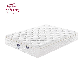 10.3" Wholesale Mattress Bed Pillow Top Spring Mattress