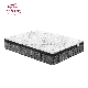 Coco Mattress/Euro Top Mattress/Latex Mattress/OEM Mattress manufacturer