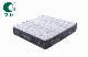  High-End Medium Firm Euro Top Micro Coil Bed Latex Pocket Spring Mattress