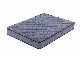 Good Price Hot Selling Tight Top Pocket Spring Rolling Mattress in Box