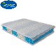  Wholesale Pocket Spring Unit for Mattress Spring Units Coil Mattress Spring Hotel Mattresses for Sale