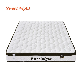 Sofa Bedroom Hotel Queen Size Memory Foam Spring Mattress Wardrobe Furniture