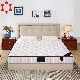  Sleep Top Mixed Knitted Material Pocket Spring Mattress