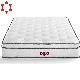  Organic Cotton Mattress Cover Queen Size Luxury Dual Pople Pocket Spring Mattress