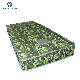 Wholesale Metal Steel Iron Bed Spring Soft Mattress