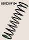 Coil Spring for Automoible