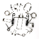  Custom High Quality Galvanizing Iron Carbon Steel Stainless Steel Helical Coil Compression Spring