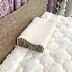 OEM Plain Ergonomic Luxury Memory Foam Pillow with Velvet Cover