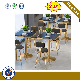 Home Furniture Customized High Performance Modern Dining Table Set