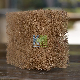  Natural Coconut Coir Fiber Media for Dust Free Environment