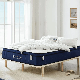 Capsule Bed Home Foam Sleep Natural Latex Pocket Spring Mattress manufacturer