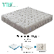  10 Inch Motel 1.2*2.0m Bed Mattress Fiber Motion Isolating Springs Firm