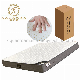 Wholesale Price Spring Mattress Compress Bed Mattress in Box