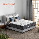  Poly Fiber Padding Bed Furniture Pocket Spring Latex Mattress