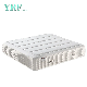  Luxurious Five-Star Hotel 12 Inch Bed Mattress Latex 2.0*2.2m Plush
