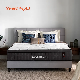 Memory Foam Pocket Spring Hotel Factory Latex Cooling Emma Mattress