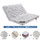 Army Latex Sleeping Pad Foldable Thick 8cm Single Bed