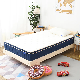  Euro Top Foam Natural Bedroom Latex Baby Mattress Sleep Compressed Hybrid Pocket Spring Mattress