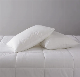 Factory Directly Sale Bottom Price Duck Down Pillow