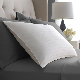  Cotton Cover Medium Soft Down Pillow Standard/Queen Goose Duck Down&Feather