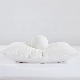 Wholesale Microfiber Hotel Pillow 100% Cotton Hotel Pillow Room